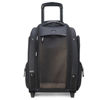 Delsey Paris Raspail - 2-Rollen-Tiertrolley 48 cm (schwarz)