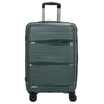 D&N Travel Line 4300 - 4-Rollen-Trolley M 66 cm (dunkelgrün)