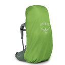 Osprey Ariel 55 Women - Trekkingrucksack 73 cm (koseret green) - Ansicht 4