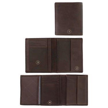 Braun Büffel Arezzo - Geldbörse 8cc 11.7 cm (braun) - Ansicht 9